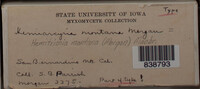 Image Associated With the Occurence